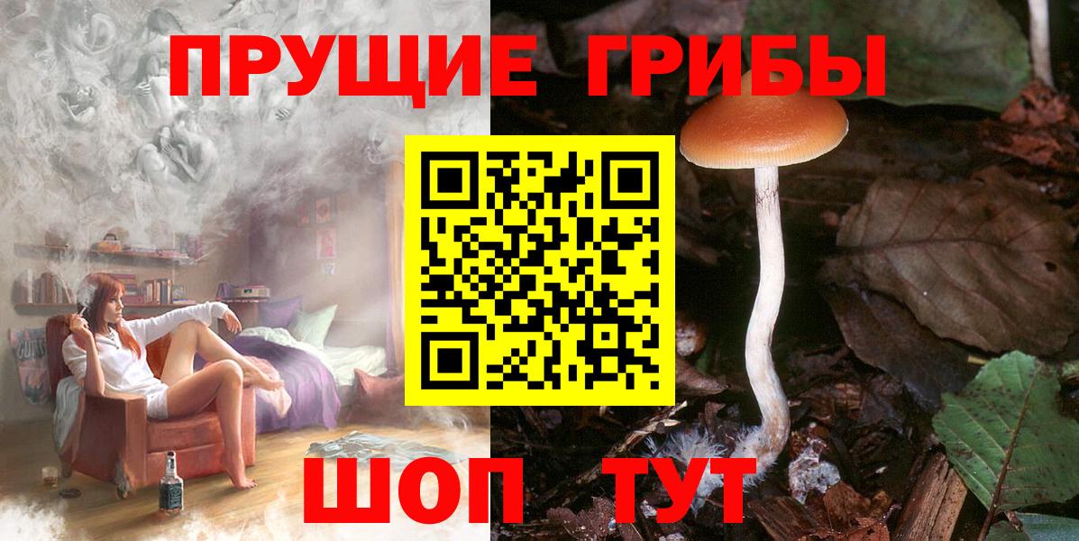 Бахчисарай  Псилоцибиновые грибы GOLDEN TEACHER  Вход с VPN  Галлюциногенные грибы Magic Shrooms 